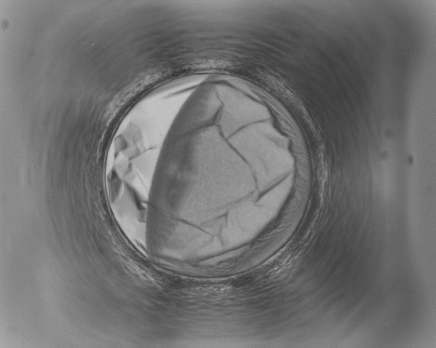 X0000053050721200508081128