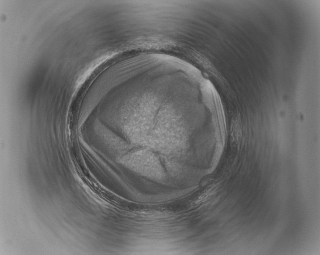 X0000053050722200508081128