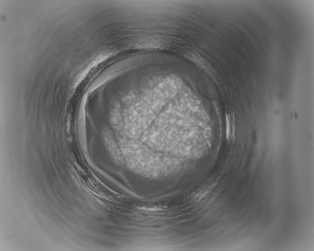 X0000053050723200508081128