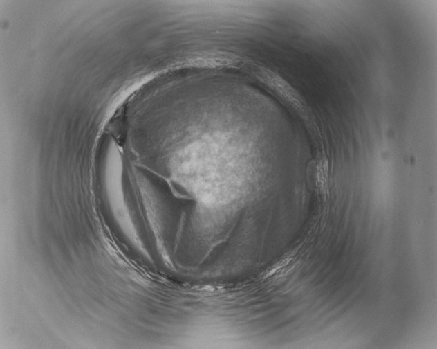 X0000053050724200508081128