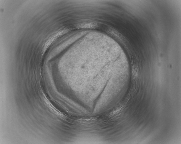 X0000053050725200508081128