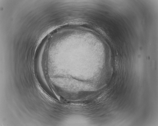 X0000053050726200508081128