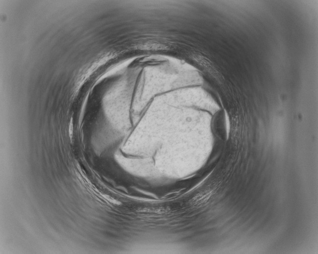 X0000053050727200508081128