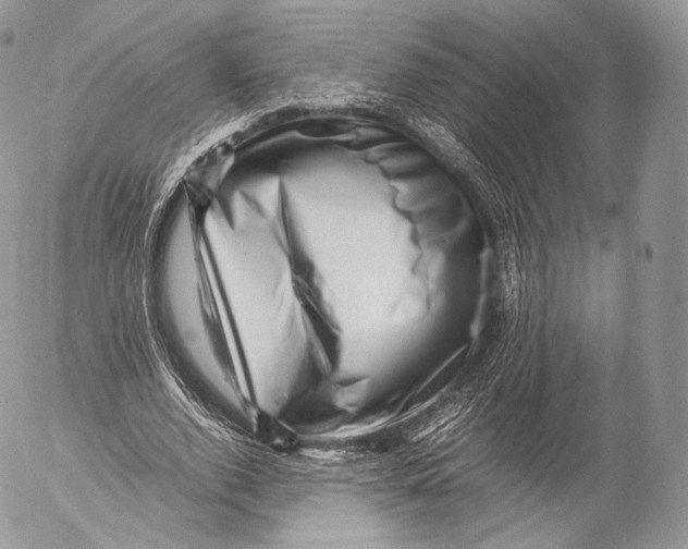 X0000053050728200508081128