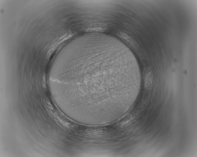 X0000053050729200508081128