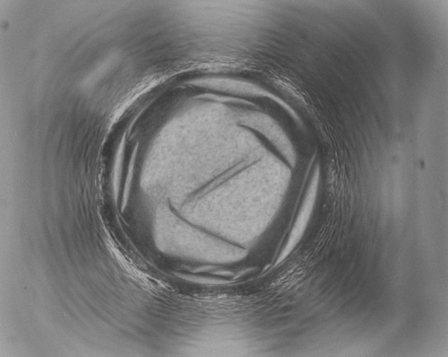 X0000053050730200508081128