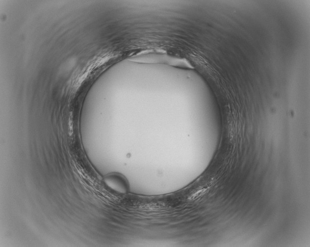 X0000053050731200508081128