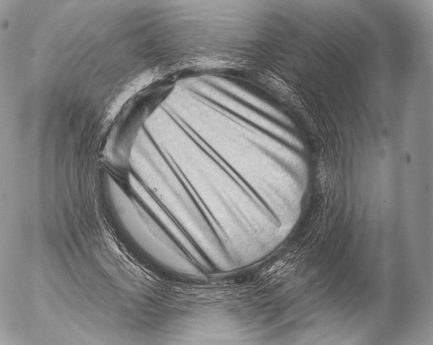 X0000053050732200508081128