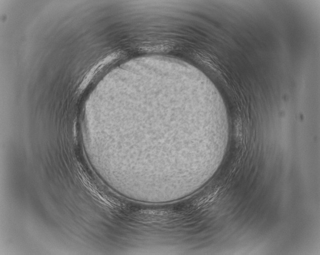 X0000053050733200508081128