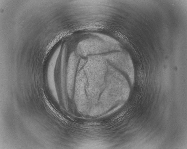 X0000053050734200508081128