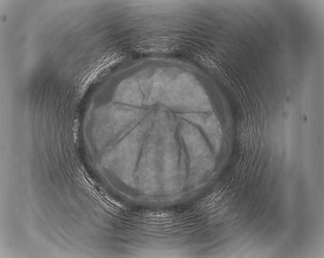 X0000053050735200508081128