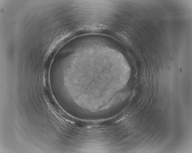 X0000053050736200508081128