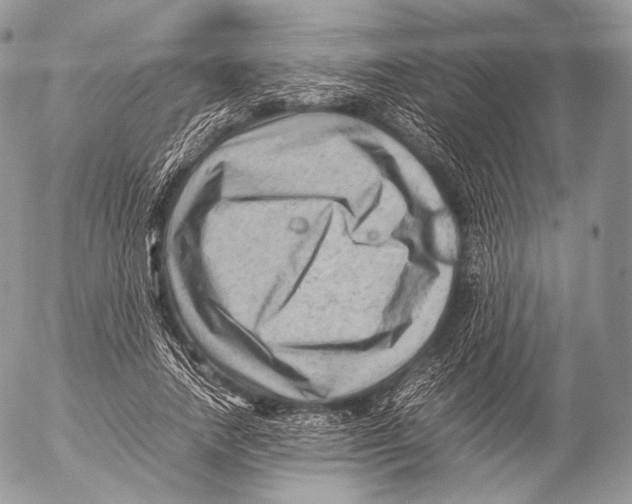 X0000053050738200508081128