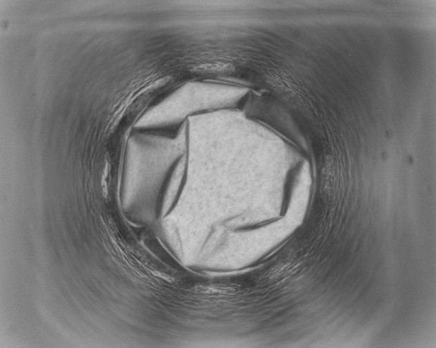 X0000053050739200508081128