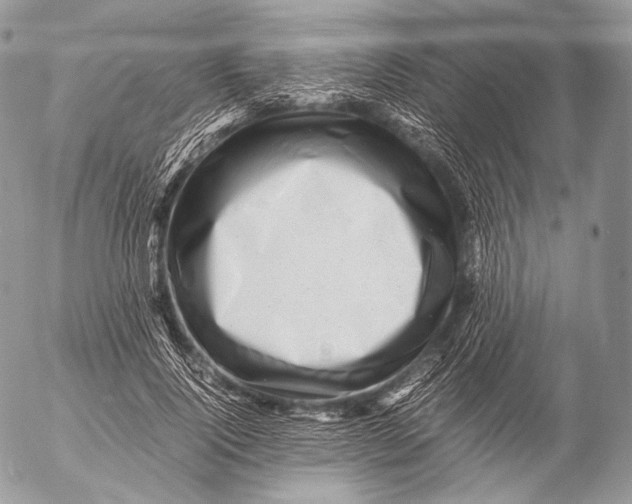 X0000053050740200508081128