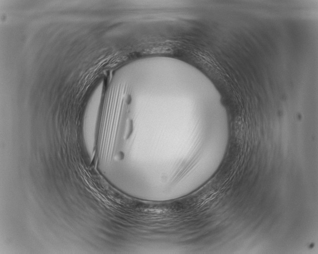 X0000053050741200508081128