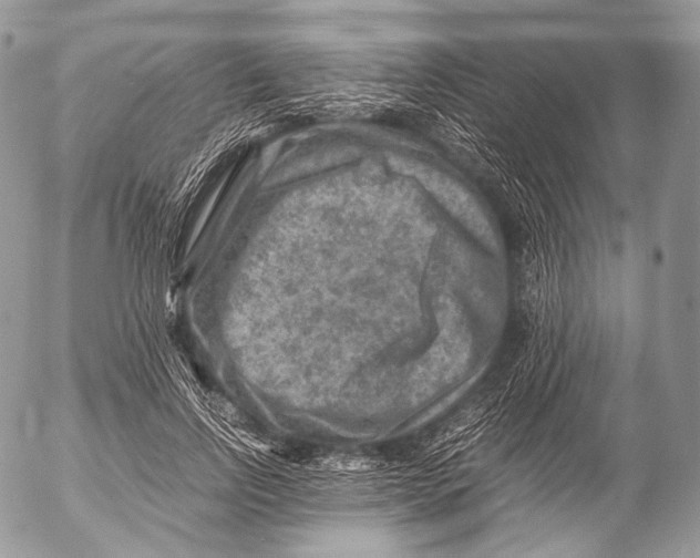 X0000053050742200508081128