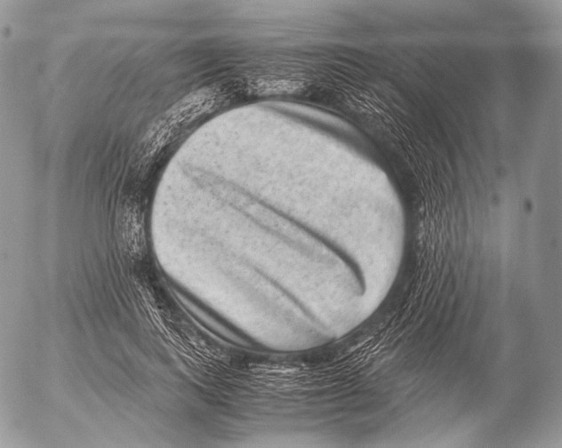 X0000053050743200508081128