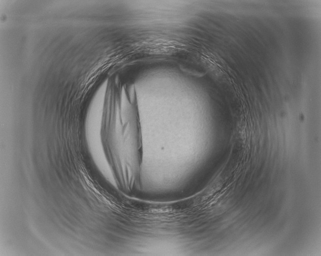 X0000053050744200508081128