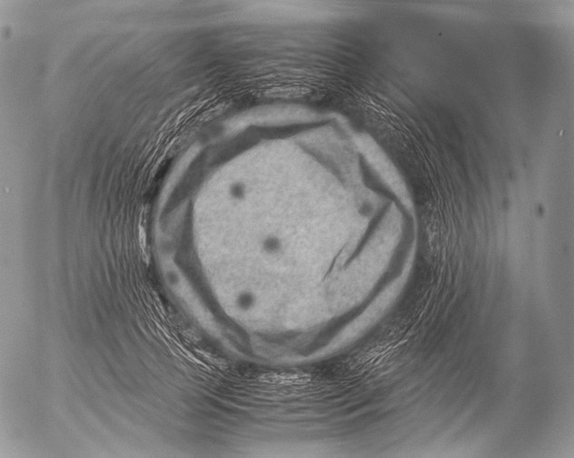 X0000053050745200508081128