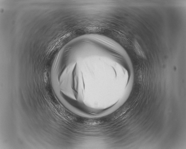 X0000053050746200508081128