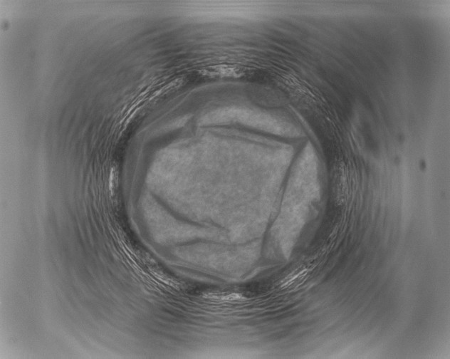 X0000053050747200508081128