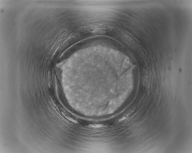 X0000053050748200508081128