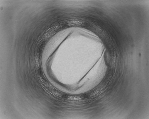 X0000053050749200508081128