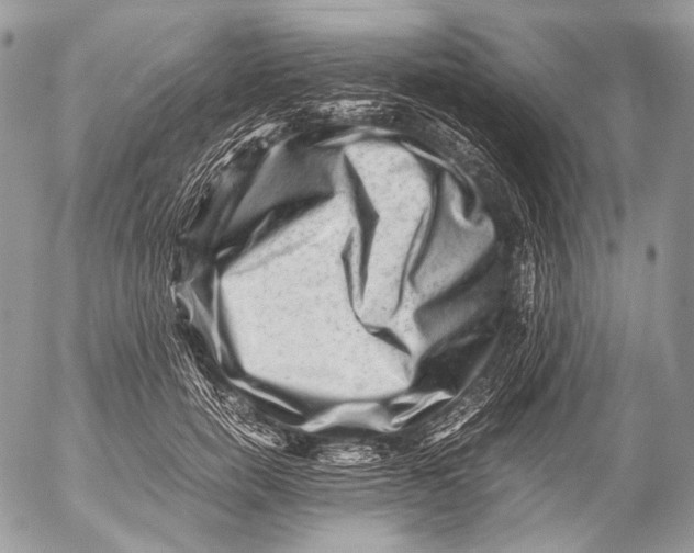 X0000053050750200508081128