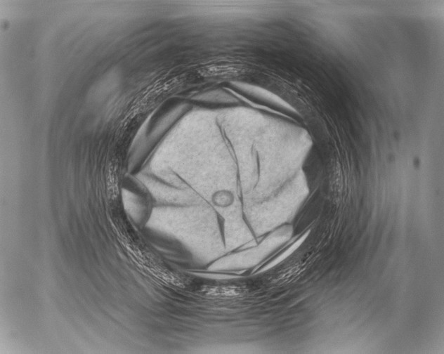 X0000053050751200508081128