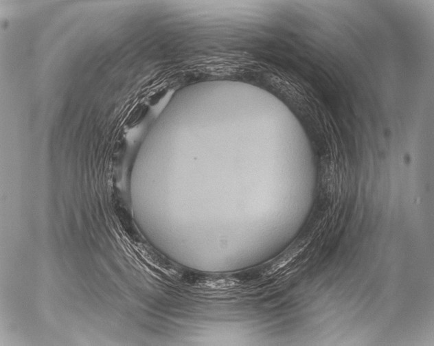 X0000053050752200508081128