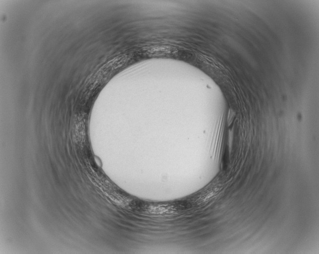 X0000053050753200508081128