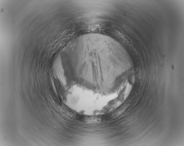 X0000053050754200508081128