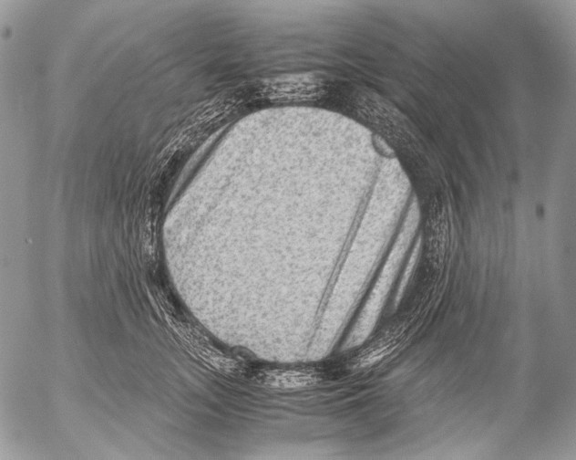 X0000053050755200508081128