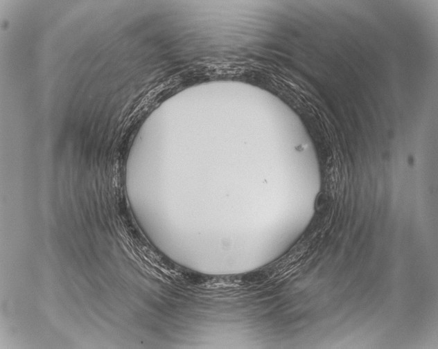 X0000053050756200508081128