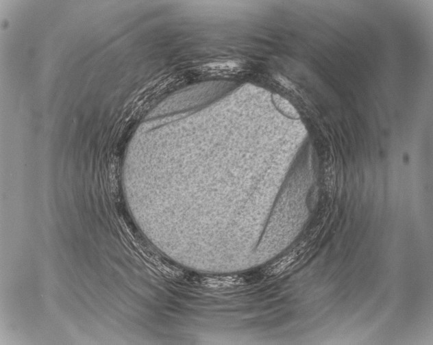 X0000053050757200508081128