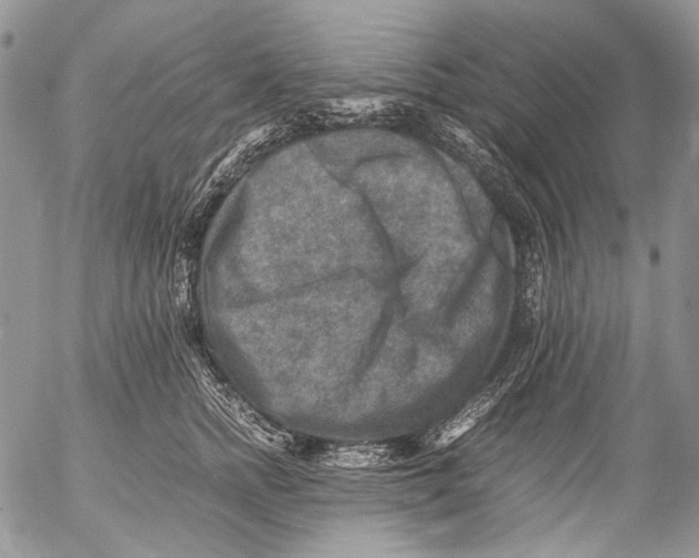 X0000053050758200508081128