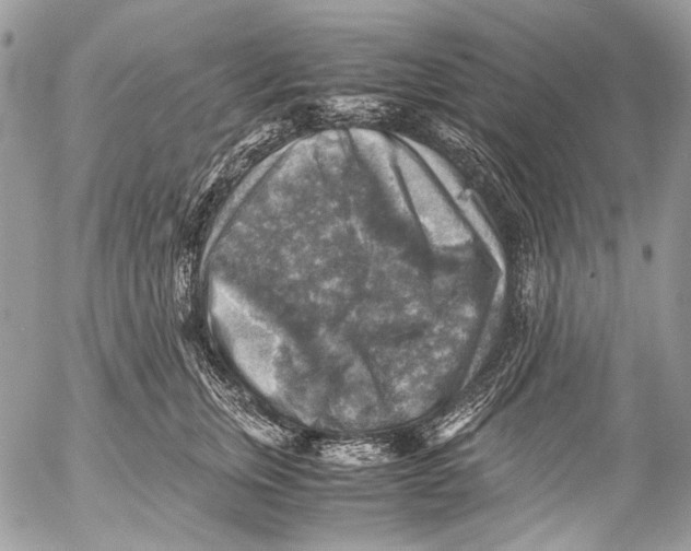 X0000053050759200508081128