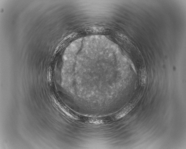 X0000053050760200508081128