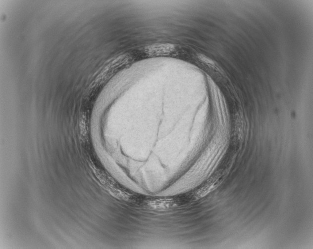 X0000053050761200508081128