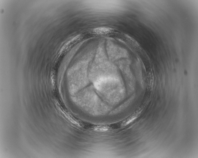 X0000053050762200508081128