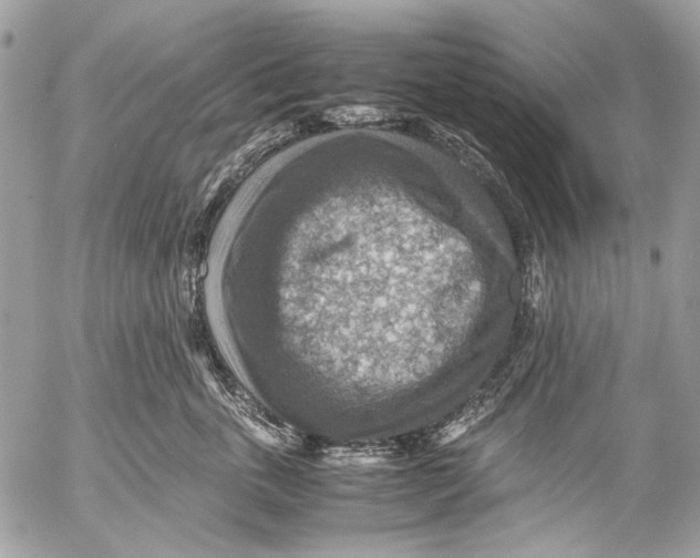 X0000053050763200508081128