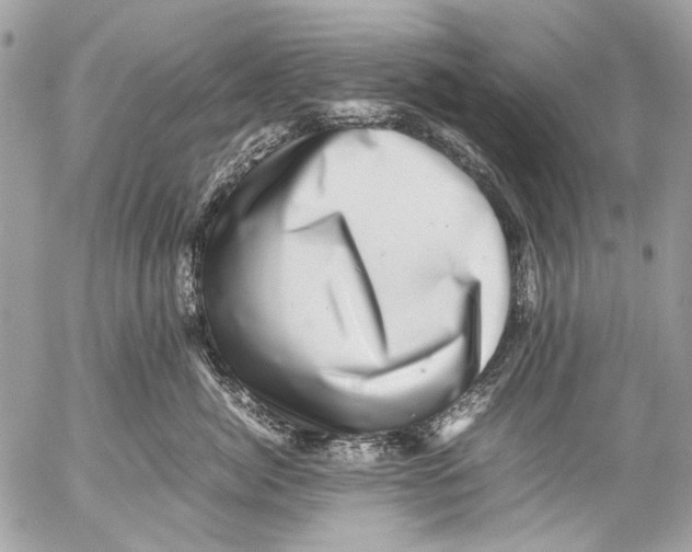 X0000053050764200508081128