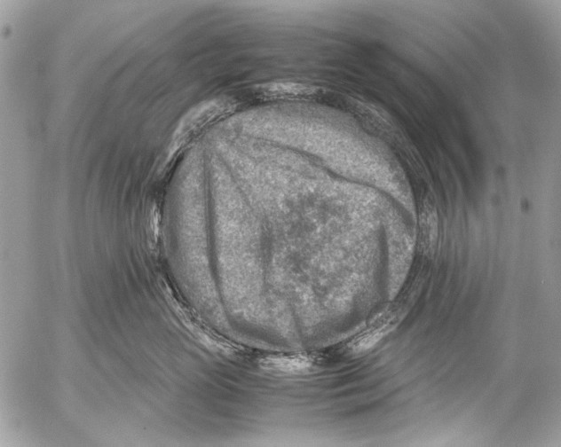 X0000053050765200508081128