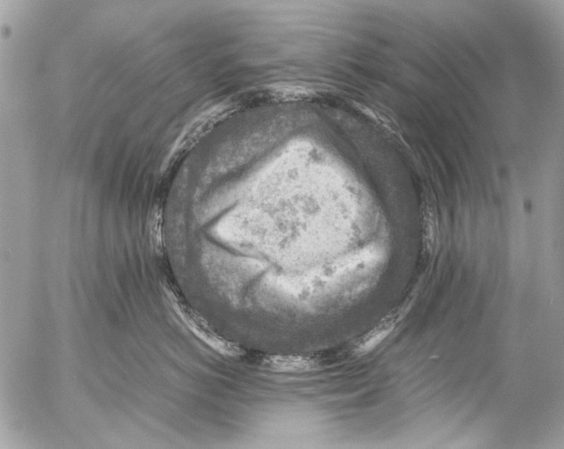 X0000053050766200508081128