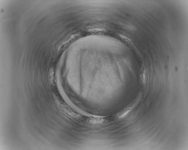 X0000053050767200508081128