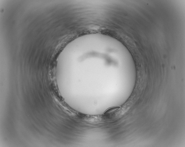 X0000053050768200508081128