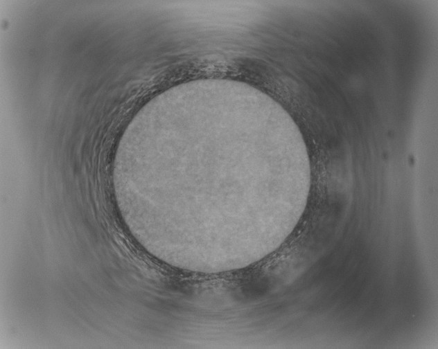 X0000053050769200508081128