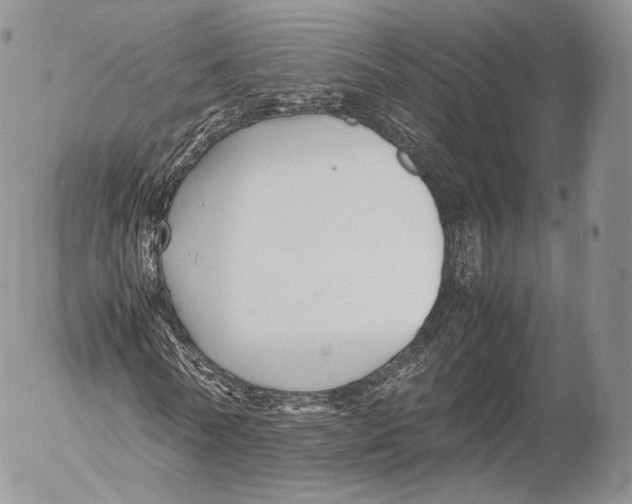 X0000053050770200508081128