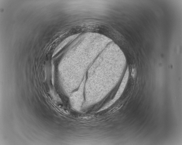 X0000053050771200508081128